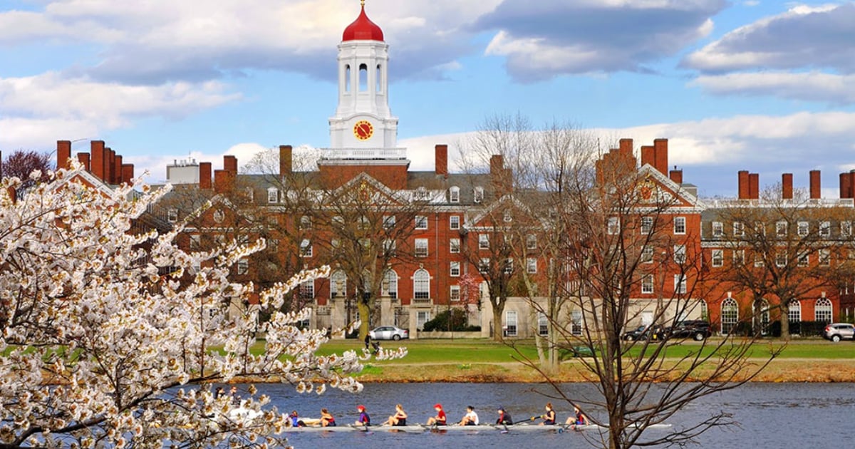 Professor With Epstein Ties Still At Harvard
