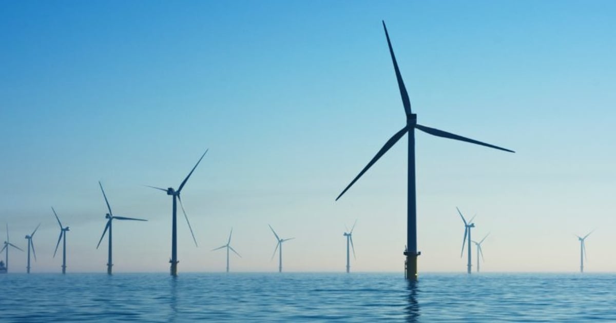 Blue State’s Green Energy Push Threatens Iconic ‘Sacred’ Food Source